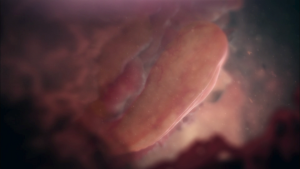 b52401fc7b9cac6ca763761952a7201a.png