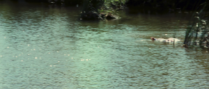 ae1bf45cf5c3808f7b15d0cbddf33f66.png