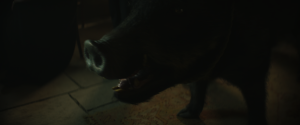 357f2bc85273a7d54cbbc85738724603.png