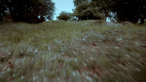 1b24dbce116a2c30849694bb28d6c529.png