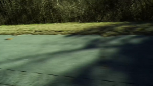 41b3ab15737d38b259bab488b2ce3b7e.png
