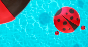 763f3370d9c0fd6208234613c4b9075d.png