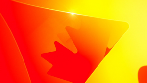 8d4bbea0bb087da5b254ac0b6bfc6f38.png