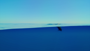 22d24500e3608a845892260d1a467106.png