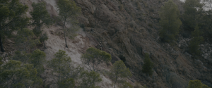 4ae8b0a690e157d8dd5becf5a9d68a6f.png