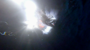 bd71f5db960c73f922ca2ff0ff493b9b.png
