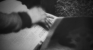 c263967b7fe1928364dc5e50f0ab3dbd.png