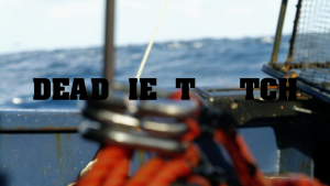 e4677b5becc54cc48f3a5aea62477475.png