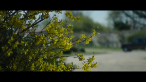 55f0188f1201c693aa5c4d3d9d0cda05.png