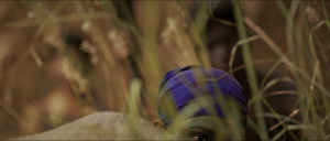 989aa5fb08fa710c6c54c72f9ddd283b.png