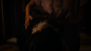 74d610a44a0eb13908d93858dc981e38.png