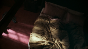 ee47d9360fc36a55e163b4928496b13e.png