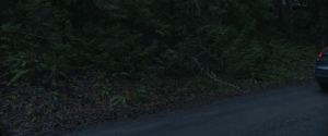 12f11d742b913e4164ea8bcbdddf8383.png