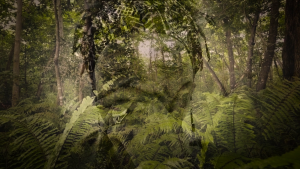 c48fcfe9d522e69cfab46b25155d3cd9.png