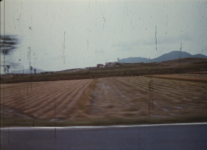 510b764a1bc4447a3db9436c7ef58dfe.png