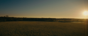 622ff2b698158f046620bf8ca220f89f.png