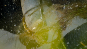 d5d996a3068eaabcb75d659dca4925bf.png
