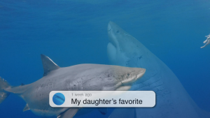 69daef9b004c14b82b6222470187810e.png
