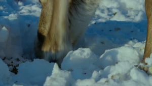 85f830710fa26166b2af087e6440b6d7.png