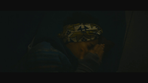 d461711230d50886320df5beae448aa0.png