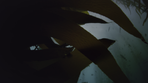 d6ad51912718b62aeb832ed3d82702bd.png