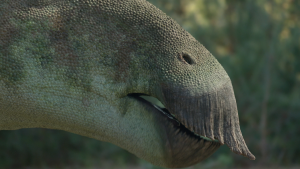 aa5702c94f805f7049a5f8c9f3059a59.png