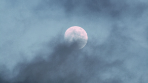 4a8567d10b4f944894cdac850573791e.png