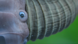 163495adc81d4c903393888da2dff6a1.png