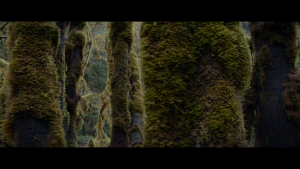 d49b2e261b6a7b358ffcefefd94ff114.png