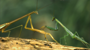 74560237e8017cc363178ec0d08f7b5f.png