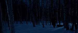 bd109fb4d9bc885558c778ec5017d585.png
