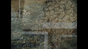 5ac2256869d8f93c1d04e675fb74cc48.png