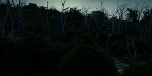 7c96b95ad715d452c2c56f5dbd48d532.png