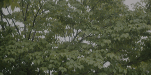 55c3f81b482608b6212f56f23457c891.png