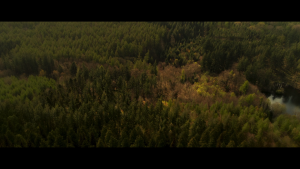 c848ef86f7563473577116ccbc0b4c7c.png