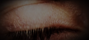 147fe9b0139d56df2fbadc9e5484d584.png