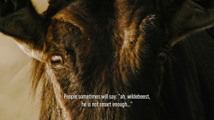 34a3011b473c160bf6aa34af4c7b87e3.png