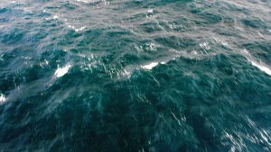 baa391fafd76d0fdc538b802eca096dd.png