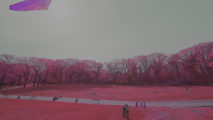a3714645daa831f23ac0058660f83c23.png