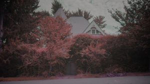 afbe8674fc205011fe594f6e25c4c09b.png