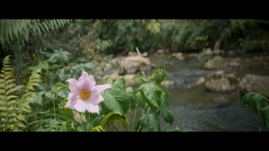 90f442ab4de9eb30f007d3a9096b23a0.png