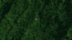 532f43926dd2cb02653bffddba56767b.png