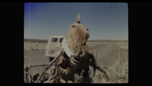 5875bac3bcc096da65e4cc58a1dc3a22.png