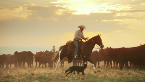 8094b02797f213e35a48beef8465a54b.png