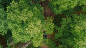 e053b4d21130eddd029fe0c48aba7453.png
