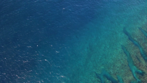 e10916e71a8252135f8f007a3529f058.png
