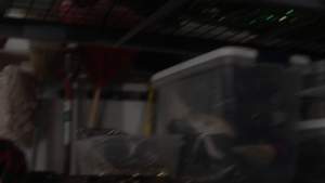 ea9b3b5ad8564263f0d3cb4fd5d12d00.png