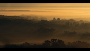 83caf27551de4c8d3ba04e89a895b458.png