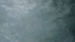 db0e943239f5e1ca958e336106dcc461.png