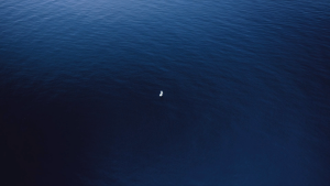 f1461fb4027ef2cee35a7324bf4ceda3.png